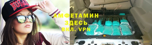 крисы Алзамай
