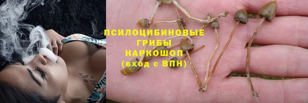 мяу мяу мука Алексин