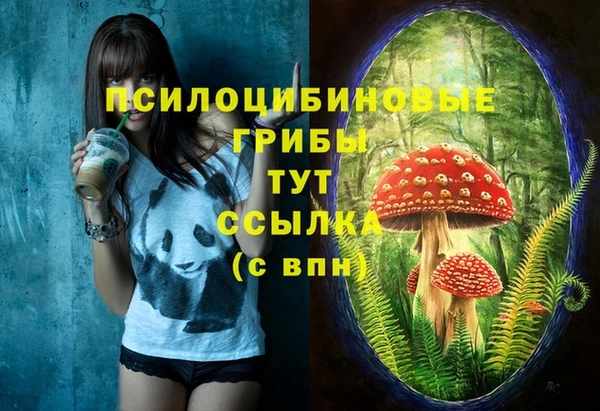 крисы Алзамай