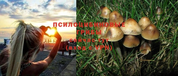 шишки Алексеевка