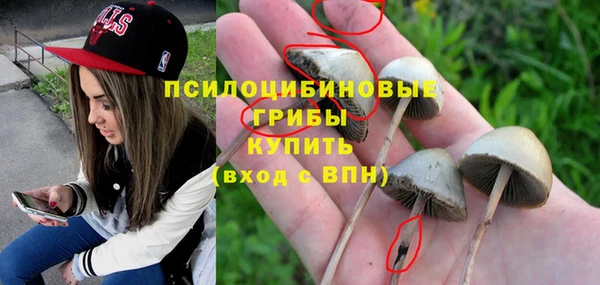шишки Алексеевка