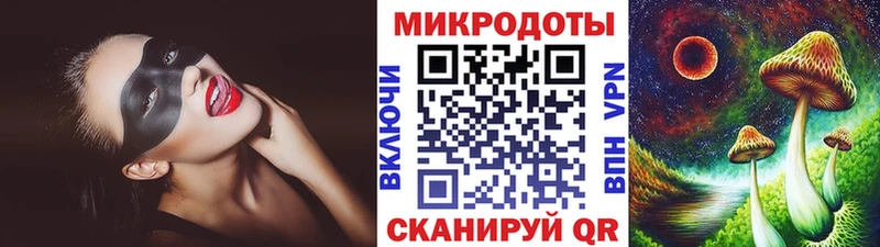 Галлюциногенные грибы Psilocybe  Дзержинск 